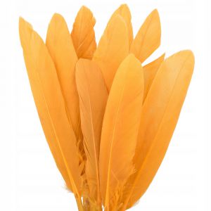 Piórka lotki Czakos 17cm, Łososiowe